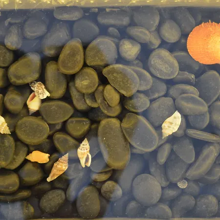 Hotel apartamentowy Flaskos Luxury