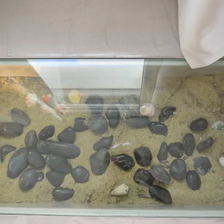 Flaskos Luxury Agios Stefanos Avliotes