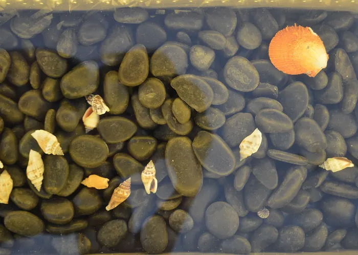 아파트호텔 Flaskos Luxury