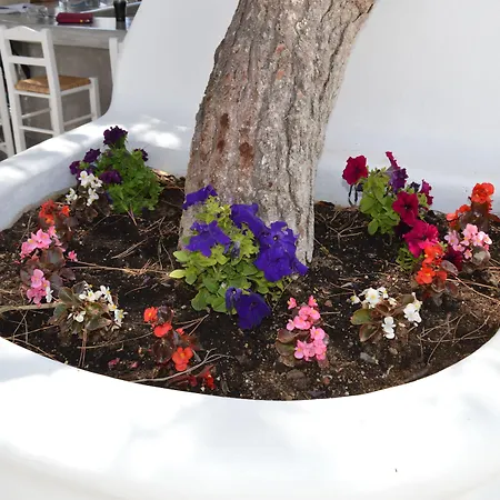 Flaskos Luxury Suites