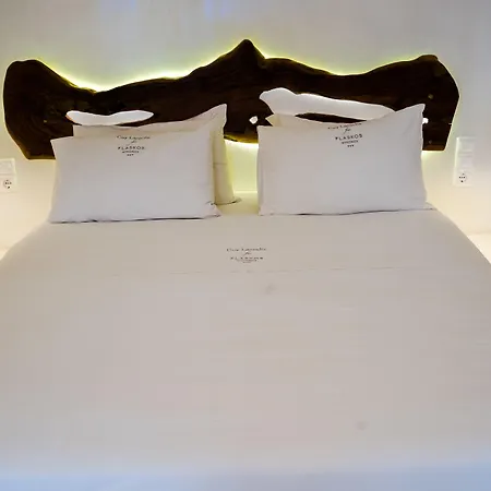 מלון דירות Flaskos Luxury