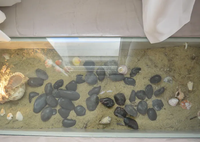 Flaskos Luxury آغيوس ستيفانوس